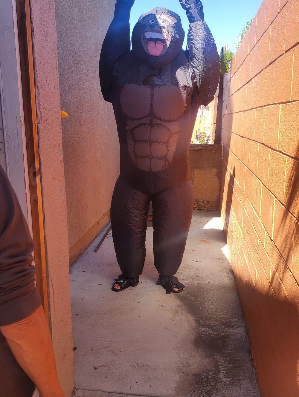 Gorilla Inflatable Costume - Picture 2 of 4